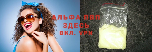 индика Абинск