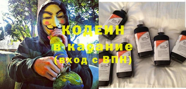индика Абинск