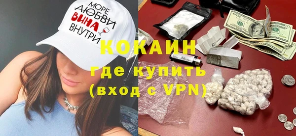 индика Абинск