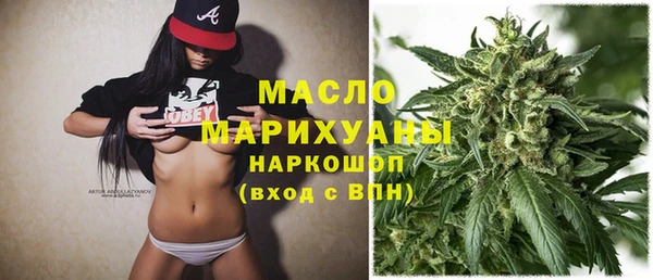 индика Абинск