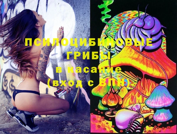 PSILOCYBIN Алексин