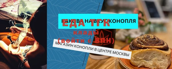 индика Абинск